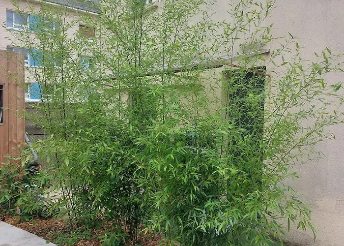 House In Dom wakacyjny Caen